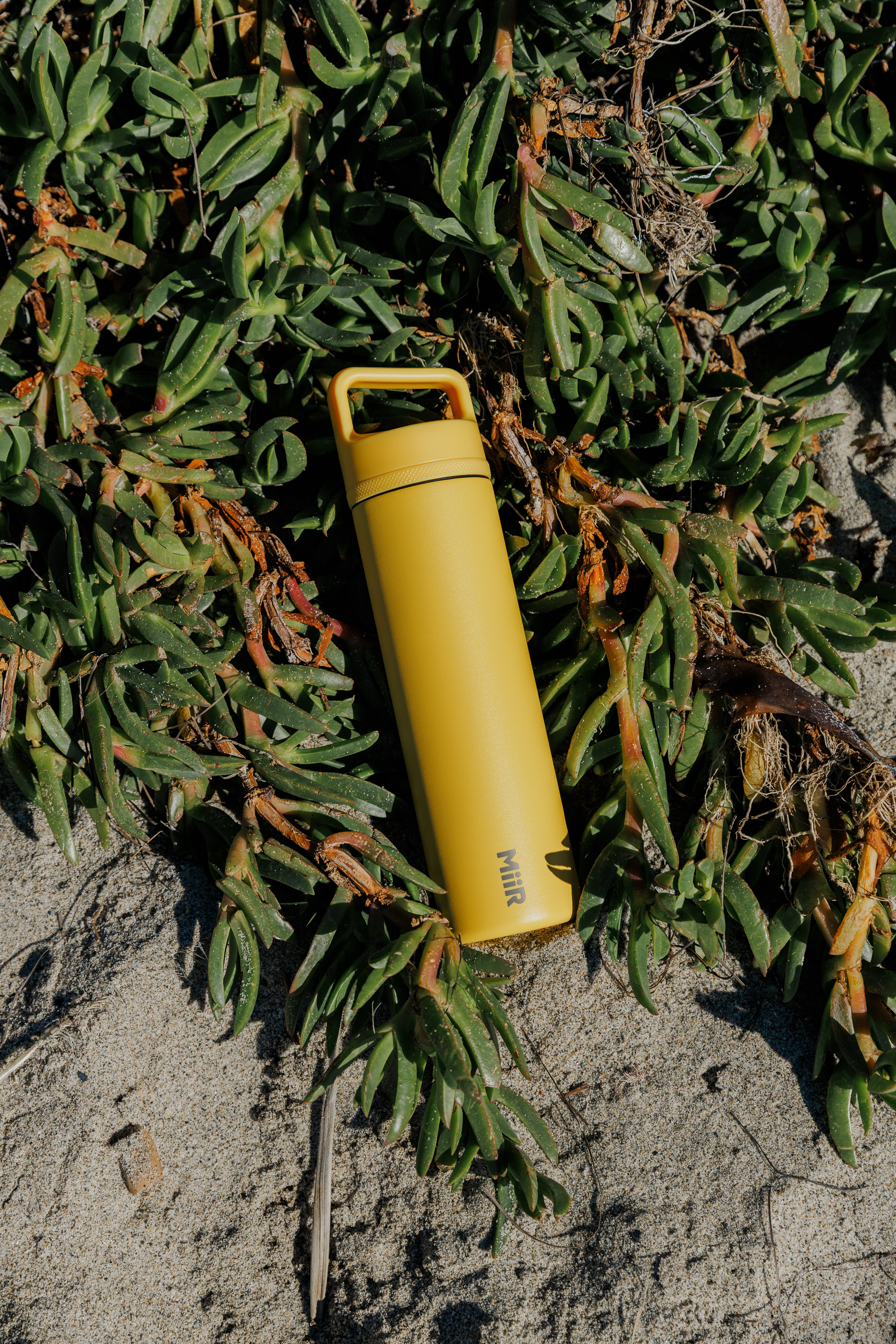 Wide Mouth Bottle – MiiR