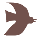 Feather Gray icon